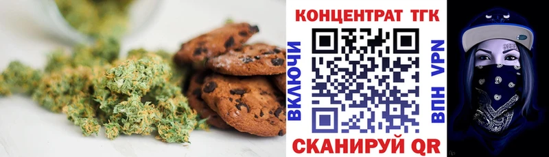 Canna-Cookies конопля  продажа наркотиков  Знаменск 