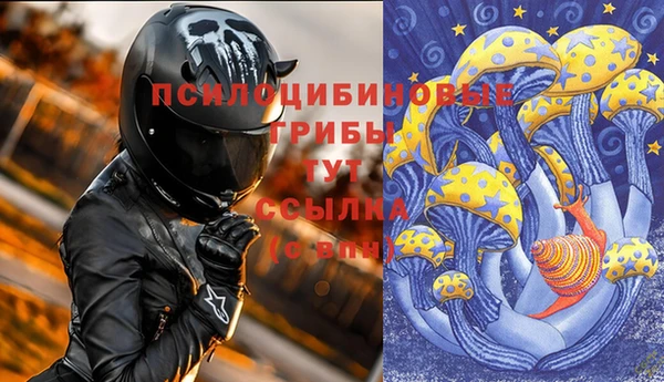круглые Аркадак