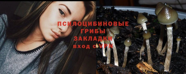 круглые Аркадак